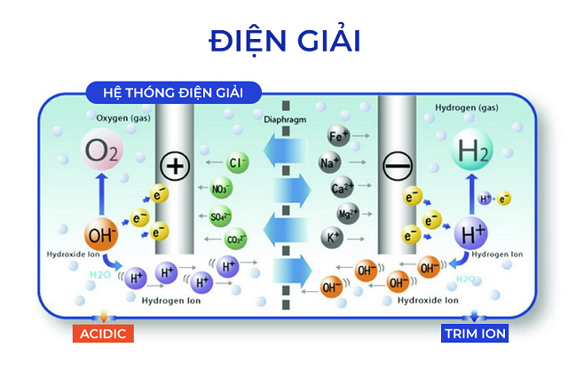 Nước ion kiềm giàu hydro Trim ion Hyper được tạo ra bởi công nghệ điện giải